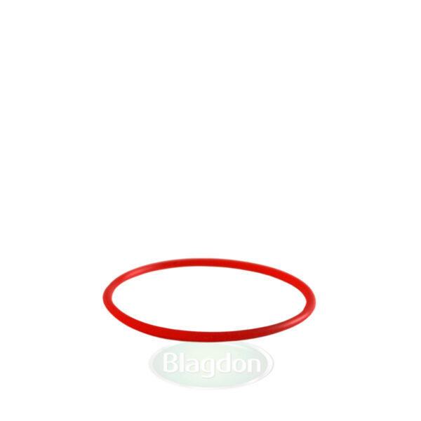 Replacement lens ‘O’ ring Photech Amphib Light Set